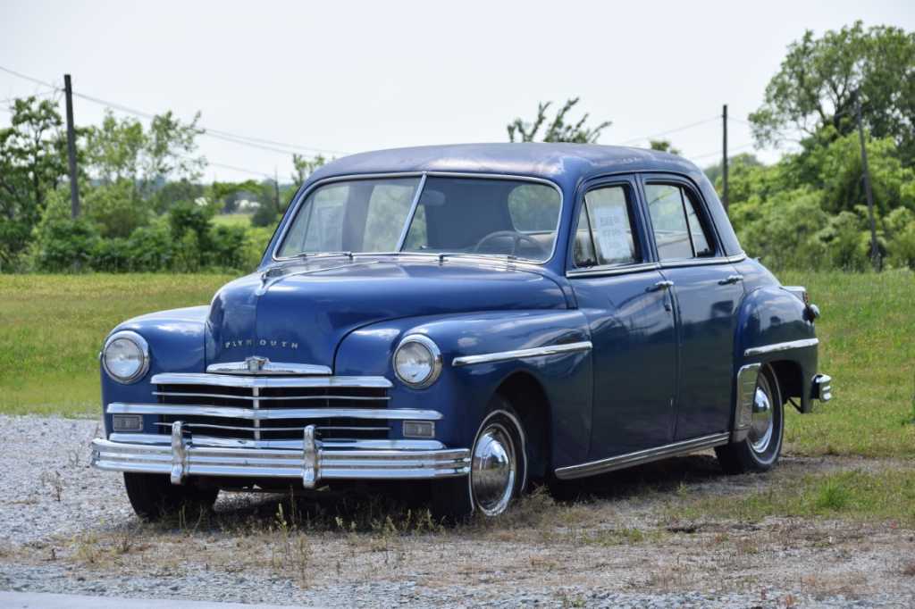DSC_0386Mittel_.JPG